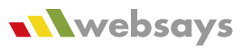 websays logo